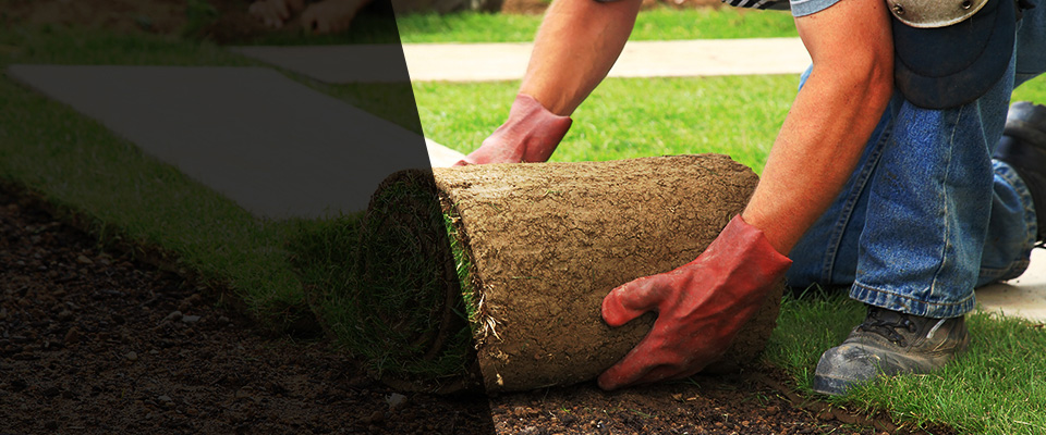 Bagley Landscapers